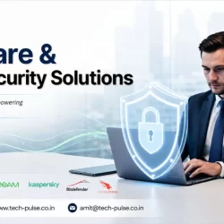 managed IT security services in chandigarh